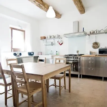 Asino Nero Nyaraló *