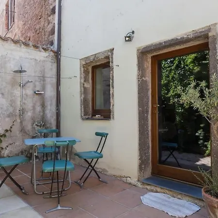 Asino Nero Nyaraló *